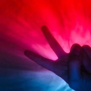 Meet your Posher, Lola